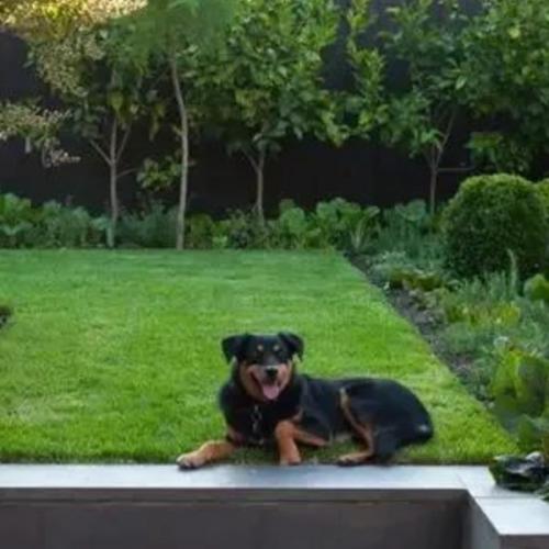 Popular Science | How do you clean your yard in the summer? Maybe you need a pressure cleaner! Popular Science | How do you clean your yard in the summer? Maybe you need a pressure cleaner!