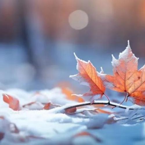 Why does the air conditioner not heat in winter? Why does the air conditioner not heat in winter?