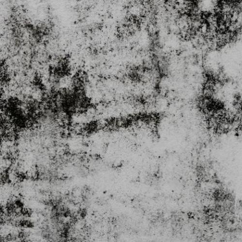 Uncover the problem of damp in your home and how mould and bacteria can harm your health. Uncover the problem of damp in your home and how mould and bacteria can harm your health.